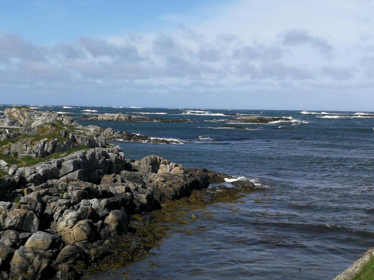 Lägenhet 103 - Whale Safari Andenes