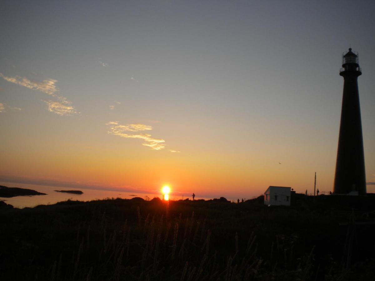 103 - Whale Safari * Andenes